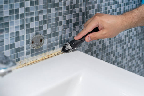Best Localized Mold Remediation (e.g., coastal areas, humid climates) in Batavia, OH