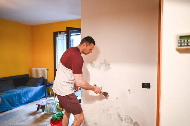 Best Residential Mold Remediation in Batavia, OH